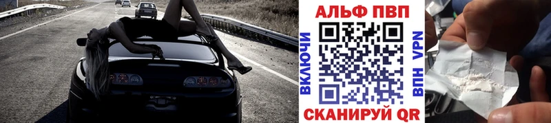 как найти закладки Малгобек OMG онион Альфа ПВП СК