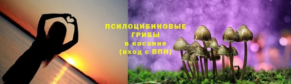 твердый Кропоткин