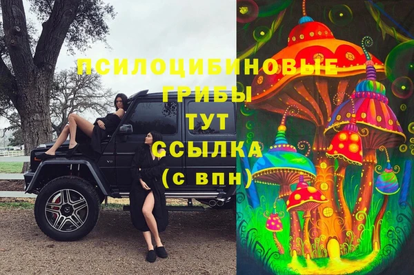 Альфа ПВП Котовск