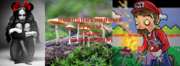 меф Краснотурьинск